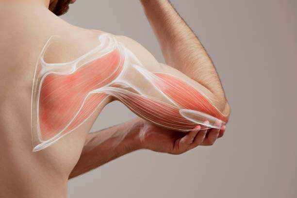 5 Kinds of Pain a Chiropractor Can Help to Address