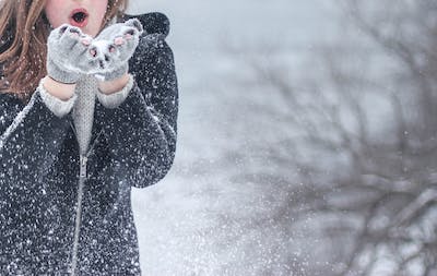 How to boost your immune system for winter